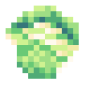 cabbage.png